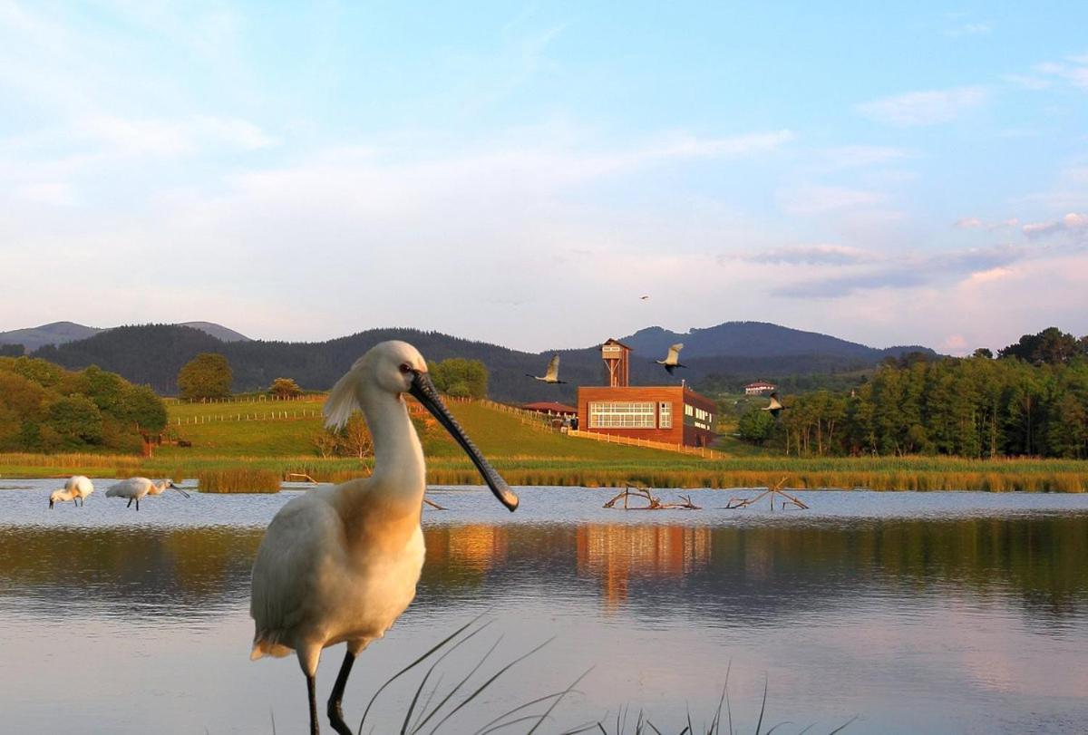 Adosado En La Costa Con Excelentes Vistas Al Estuario De Urdaibai Villa Mundaka Bagian luar foto